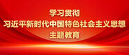 男人的jj捅入女人的阴道学习贯彻习近平新时代中国特色社会主义思想主题教育_fororder_ad-371X160(2)